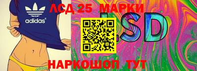 мдпв Обь