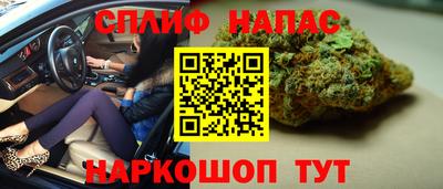 мдпв Обь