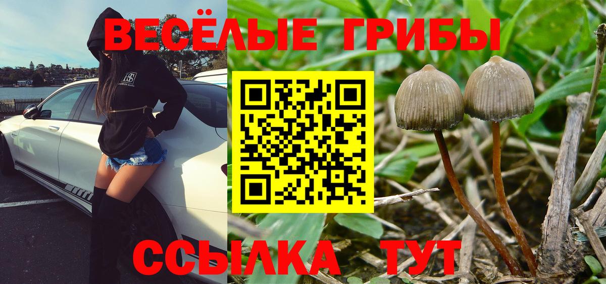 Галлюциногенные грибы Cubensis  Вход с VPN  Галлюциногенные грибы Psilocybe  Сызрань 