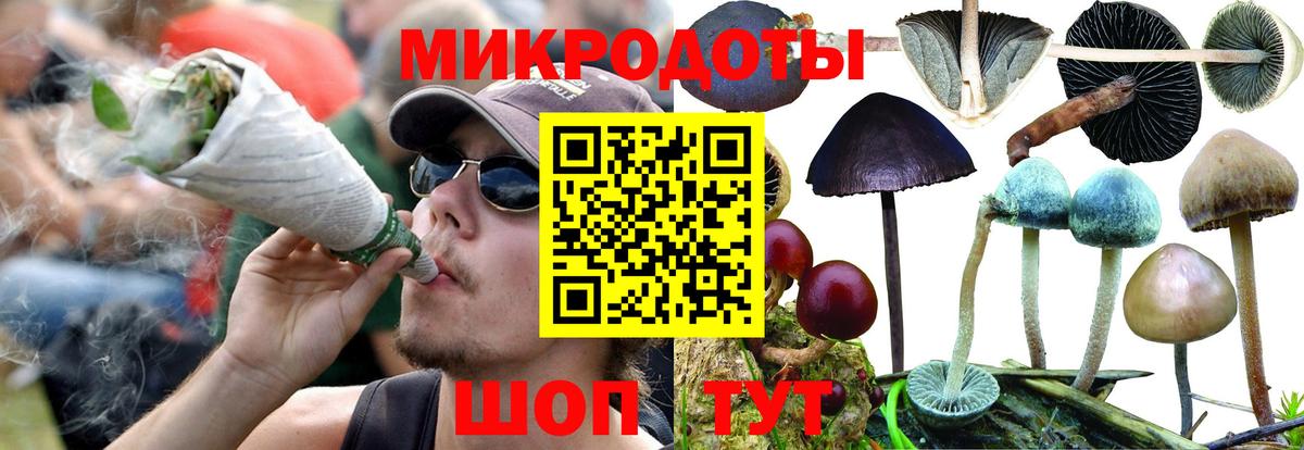 Псилоцибиновые грибы мухоморы Сызрань